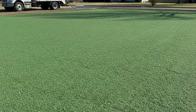 Freshly hydroseeded lawn with even green slurry coverage by Chop Chop Landscaping in Staten Island, NY
